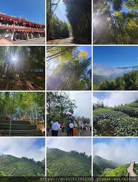 Play - 南投。竹山鹿谷銀杏竹林茶園