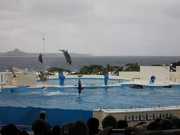 IMG_0759.jpg