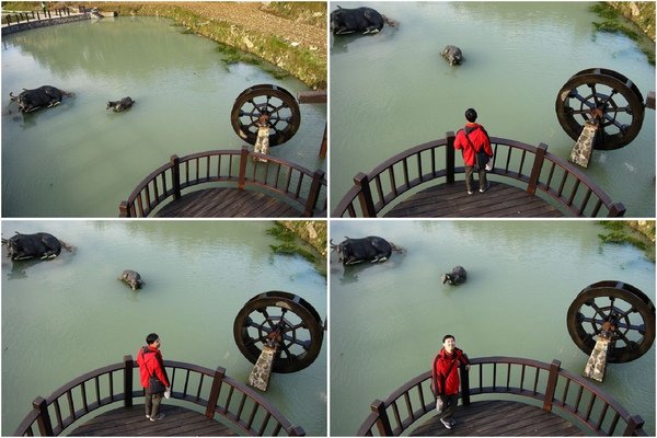 貓纜3.jpg