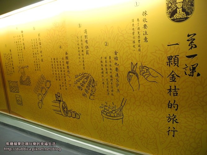 金桔觀光工廠11