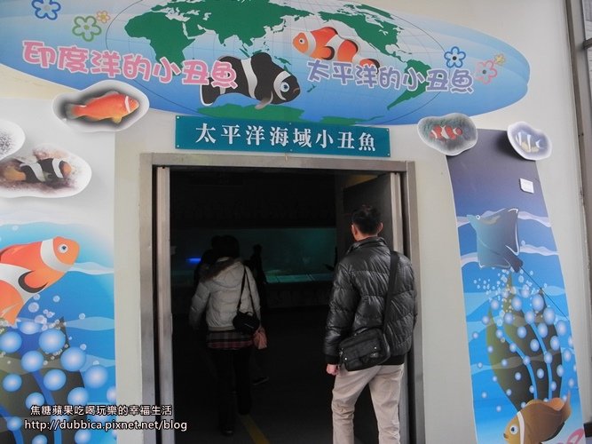 小丑魚主題館21