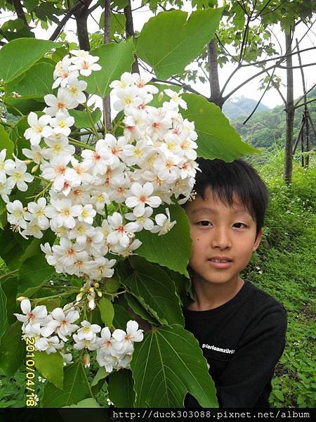 大湖.大窩生態園區 (100).JPG