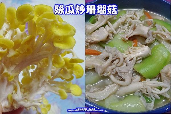 珊瑚菇料理-拼圖.jpg