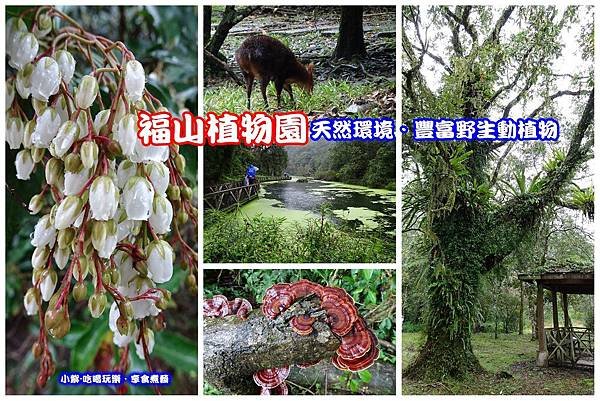 福山植物園-拼圖.jpg