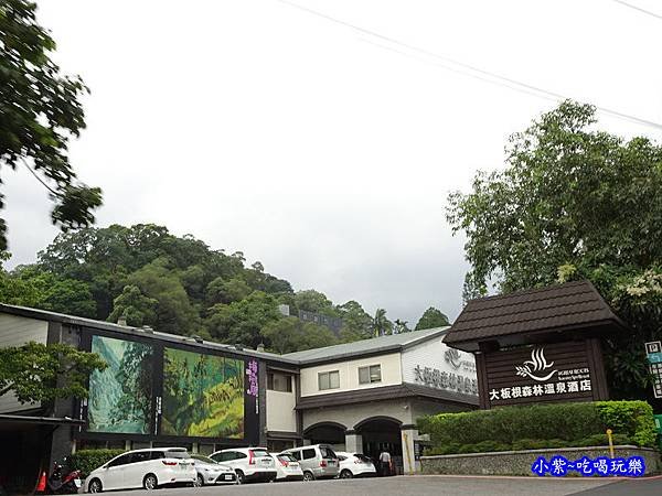 大板根森林溫泉酒店 (2).jpg