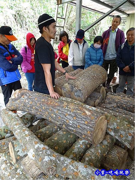 桃園復興-楓田農場 (1).jpg