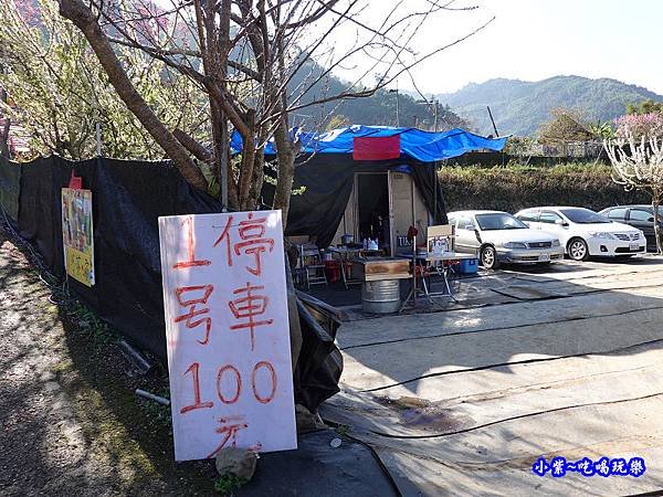 1號停車場-李花園。草坪頭櫻花季  (12).jpg