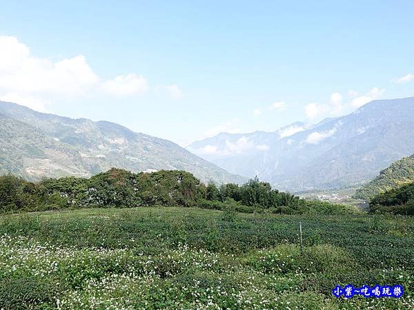 明生花步道、觀景步道景觀 (8).jpg