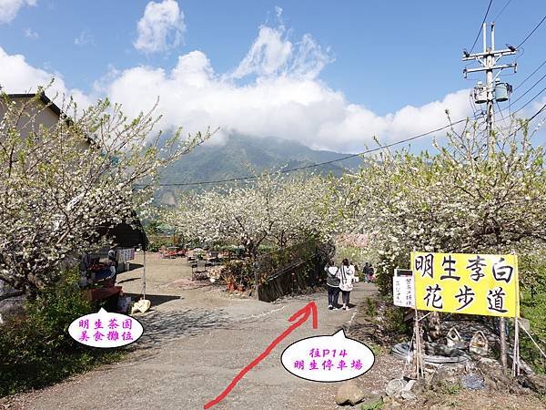 明生花步道、觀景步道景觀 (2).jpg