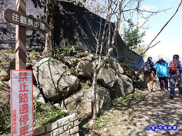 草坪頭橋旁觀景步道-草坪頭櫻花季  (3).jpg