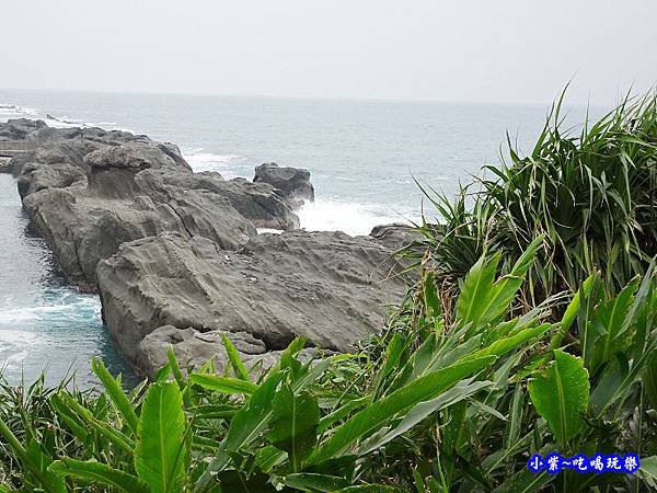 台東-石雨傘遊憩區20.jpg