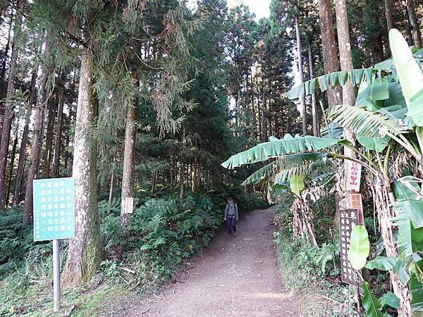 4號停車場旁登山口 (3).JPG