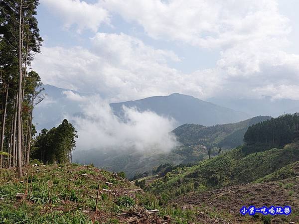 森林咖啡館內-森林登山步道6.jpg