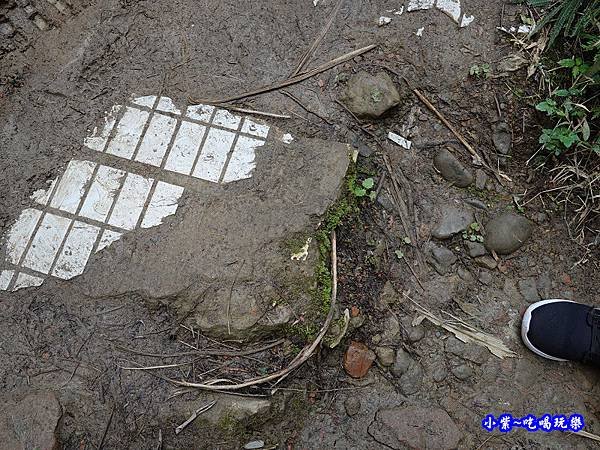 森林咖啡館內-森林登山步道10.jpg