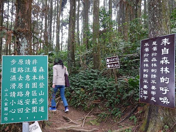 森林咖啡館內-森林登山步道1.JPG