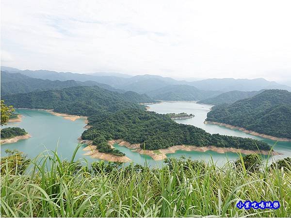 步道最下層鱷魚景觀.jpg