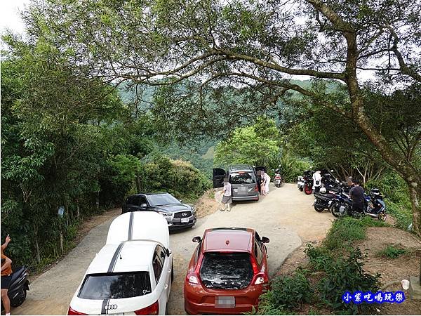 鱷魚島觀景平台前方停車空間 (1).jpg