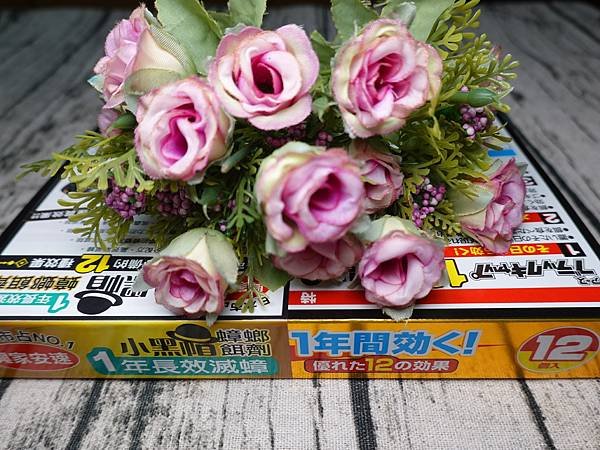 興家安速小黑帽蟑螂餌劑 (7).JPG