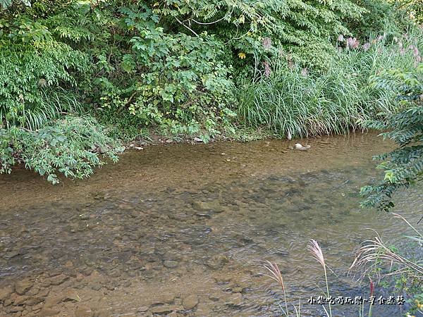 瑪陵櫻花步道  (6).jpg