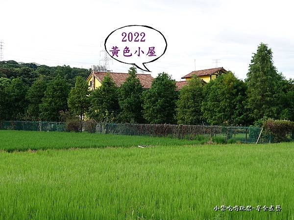 2022大溪黃色小屋 (1).jpg