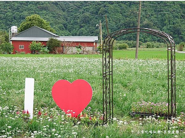 我愛大溪-2023桃園韭菜花季 (2).jpg