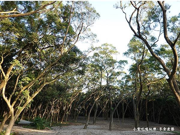 悠活景觀區(一里雲村) (9).jpg