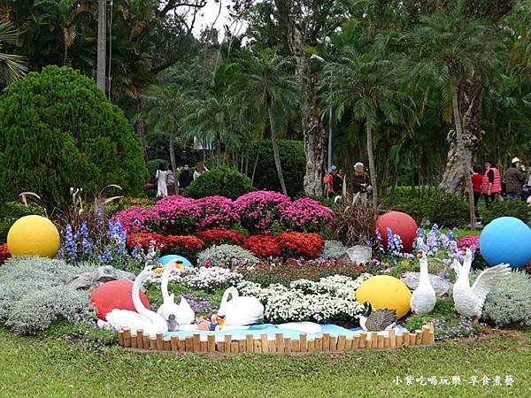 菊光遍羽西式庭園區-2024士林官邸菊展 (1).jpg