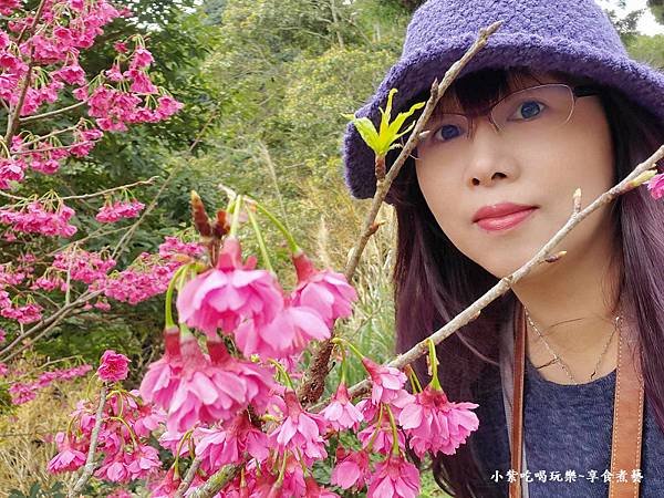 2024悠然秘境小屋-八重櫻9.jpg