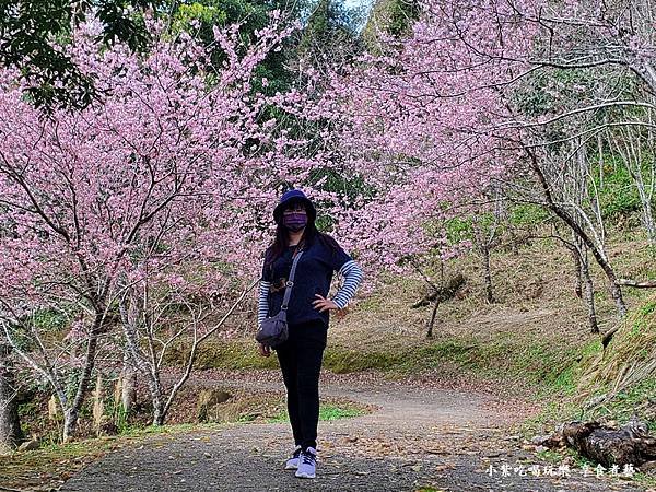 2024悠然秘境小屋-吉野櫻、富士櫻區17-2.jpg