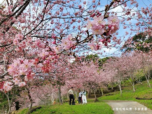 2024悠然秘境小屋-吉野櫻、富士櫻區32.jpg