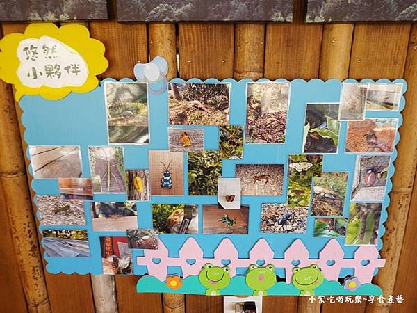 悠然秘境小屋生態相片.jpg