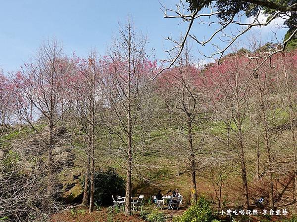 落羽松和八重櫻用餐區-悠然秘境小屋.jpg