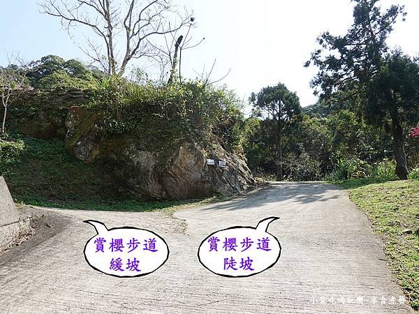 2025到最上層有兩個步道可選擇-悠然秘境小屋.jpg