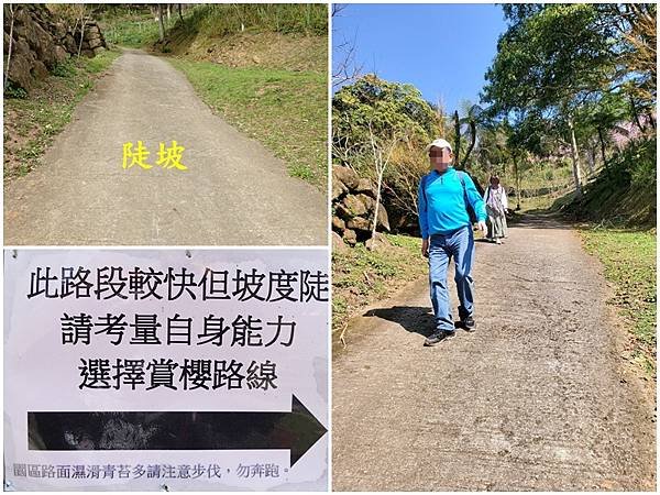 往上層的水泥陡坡-悠然秘境小屋.jpg