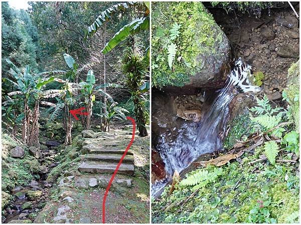 廁所旁往櫻花步道捷徑-2025悠然秘境小屋.jpg
