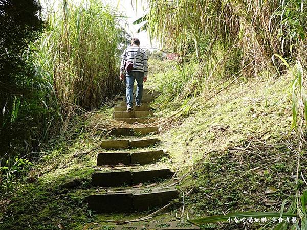 往悠然秘境小屋旁賞櫻步道捷徑.jpg