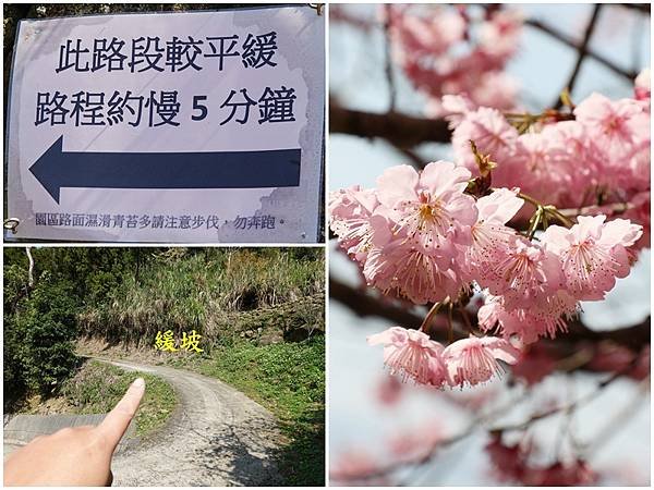 往最上層(較平緩)山路-悠然秘境小屋1.jpg
