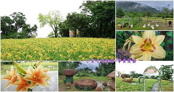 2025百吉金针花海-首图.jpg