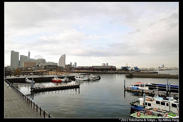 DSC_0560.JPG