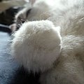 P1330010.JPG