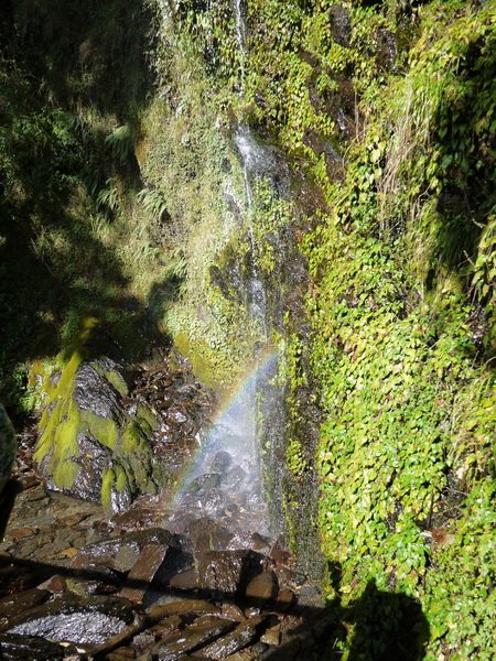 P1110361