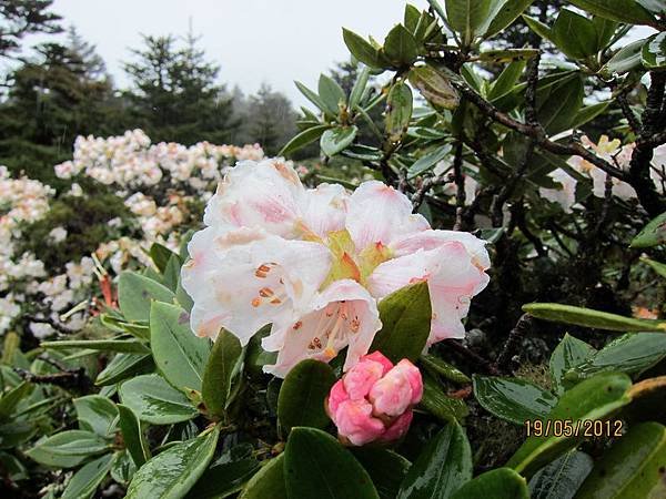 IMG_0038