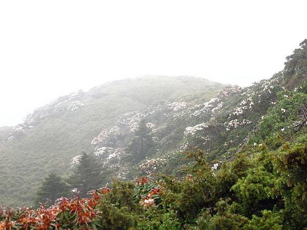 IMG_5626