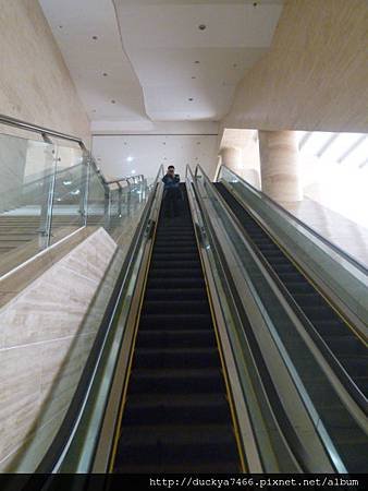 P1320845.JPG