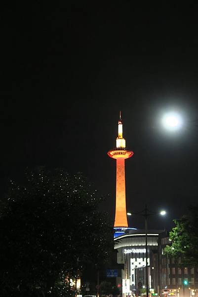 IMG_2882.JPG