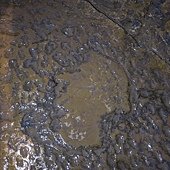 IMG_0006.JPG