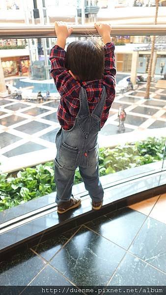 DSC04213.jpg