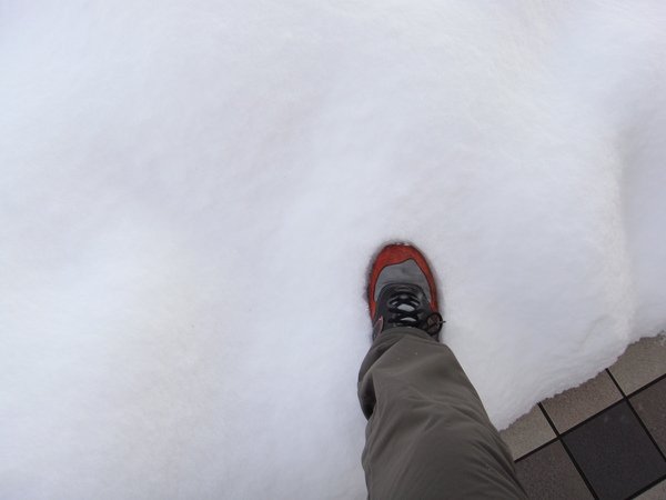 實在忍不住跑進去雪地踏一踏