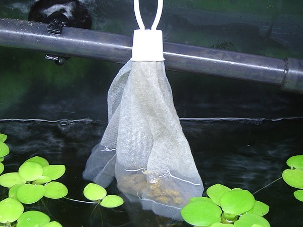 放在雨淋管前