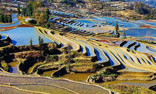 Khám Phá Ruộng Bậc Thang Nguyê